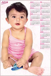 14 * 24 Premium PVC Wall Calendar